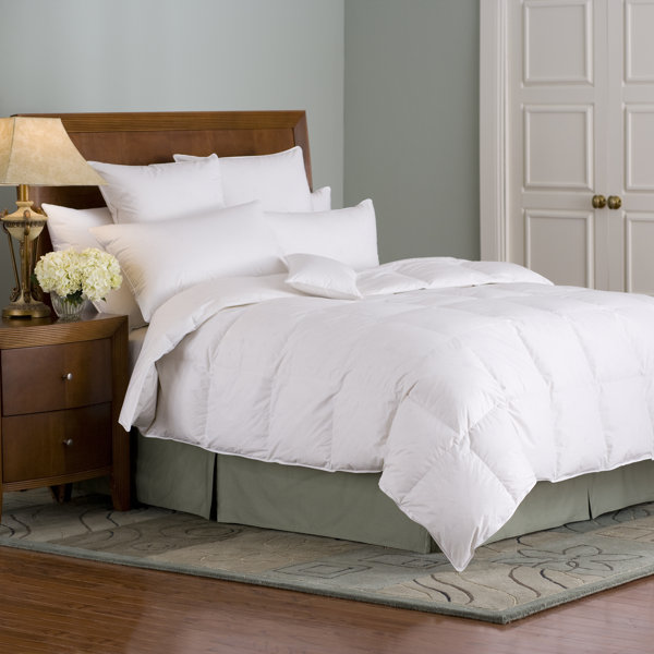 Arsuite All Season Goose Down Comforter Wayfair